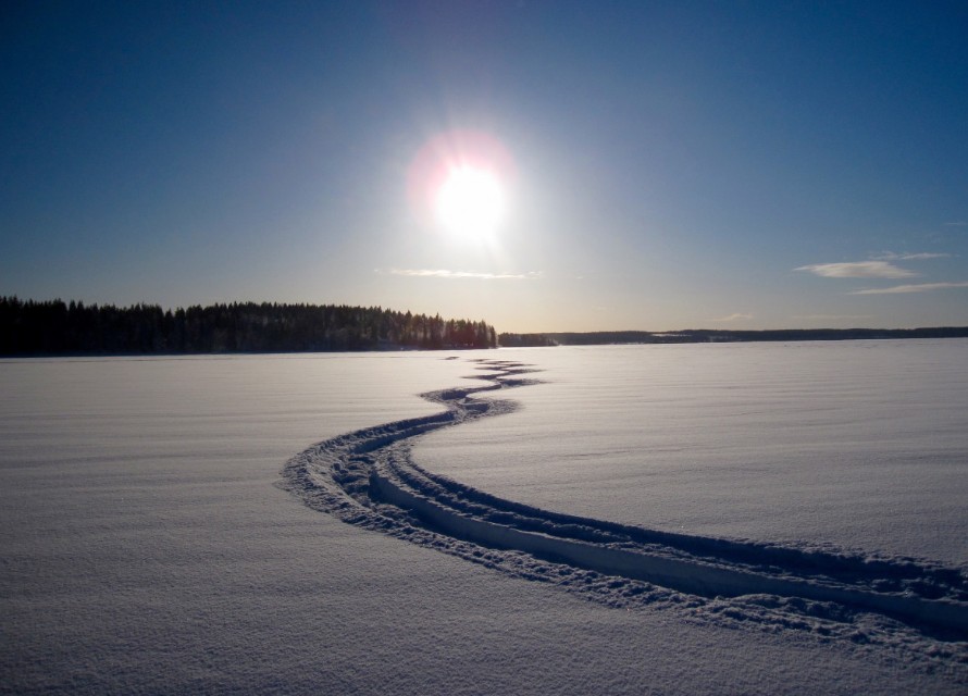 Комплекс «Булат-онлайн» обеспечил безопасность на «Буран-день» в Нарьян-Маре
