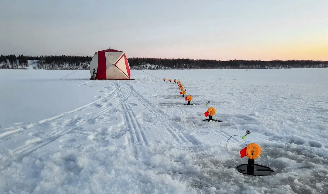 Соревнования по зимней рыбалке «Золото Печоры» пройдут на озере Вадега